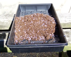  width=